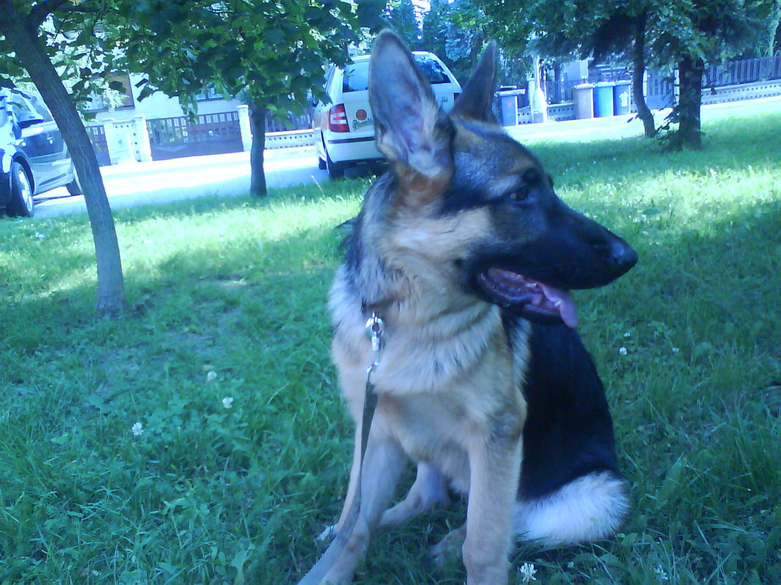 Snímek 181.jpg