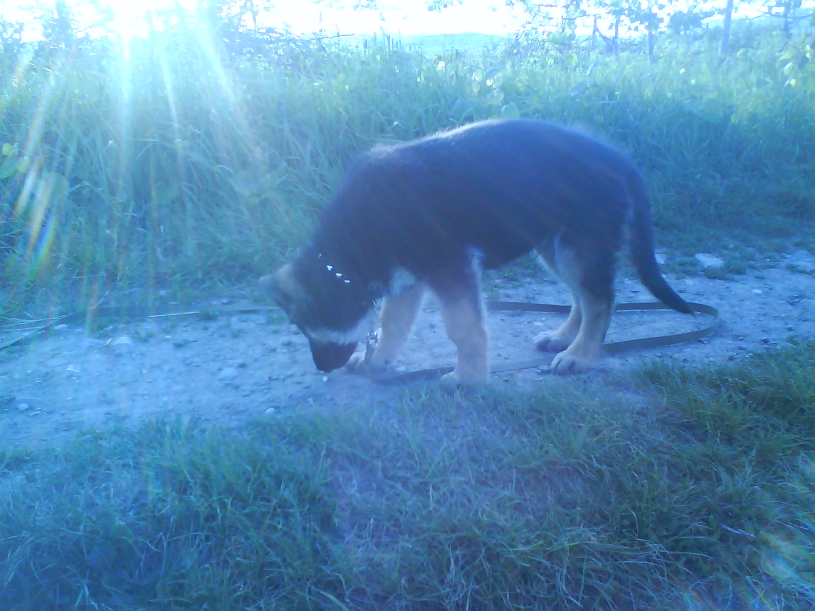 Snímek 042.jpg