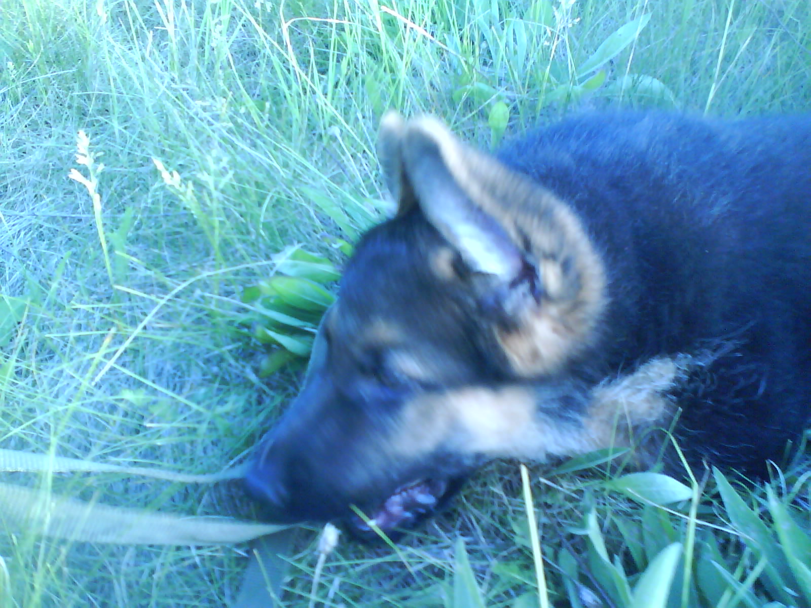Snímek 045.jpg