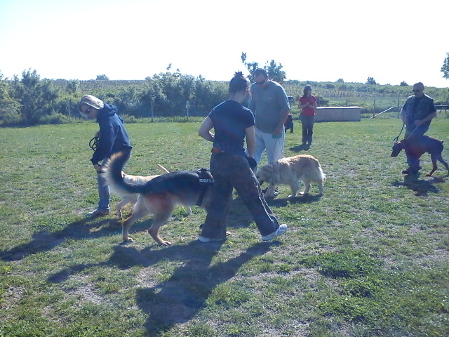 dsc00118