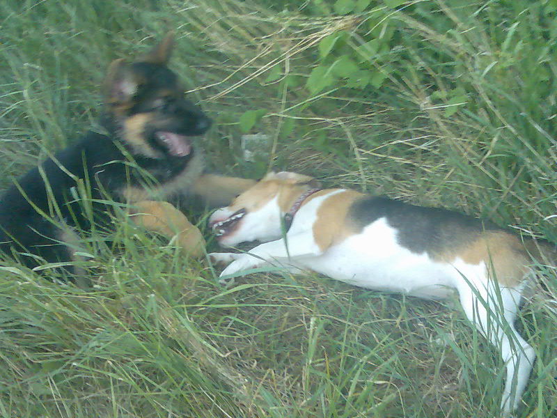 Snímek 057.jpg