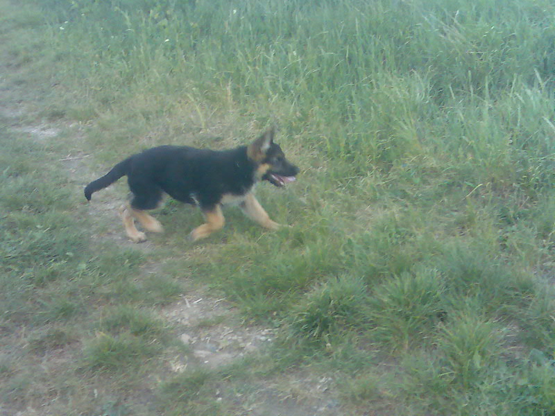 Snímek 060.jpg
