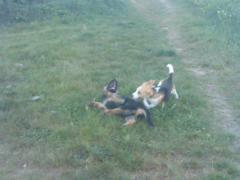 Snímek 061.jpg