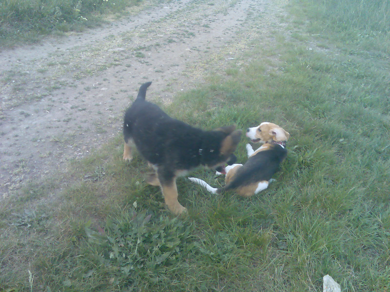 Snímek 071.jpg
