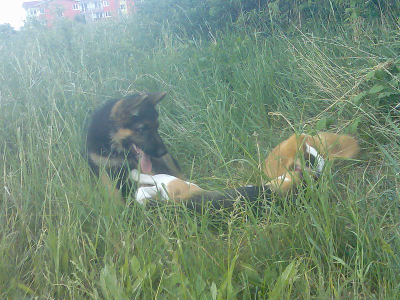 Snímek 076.jpg