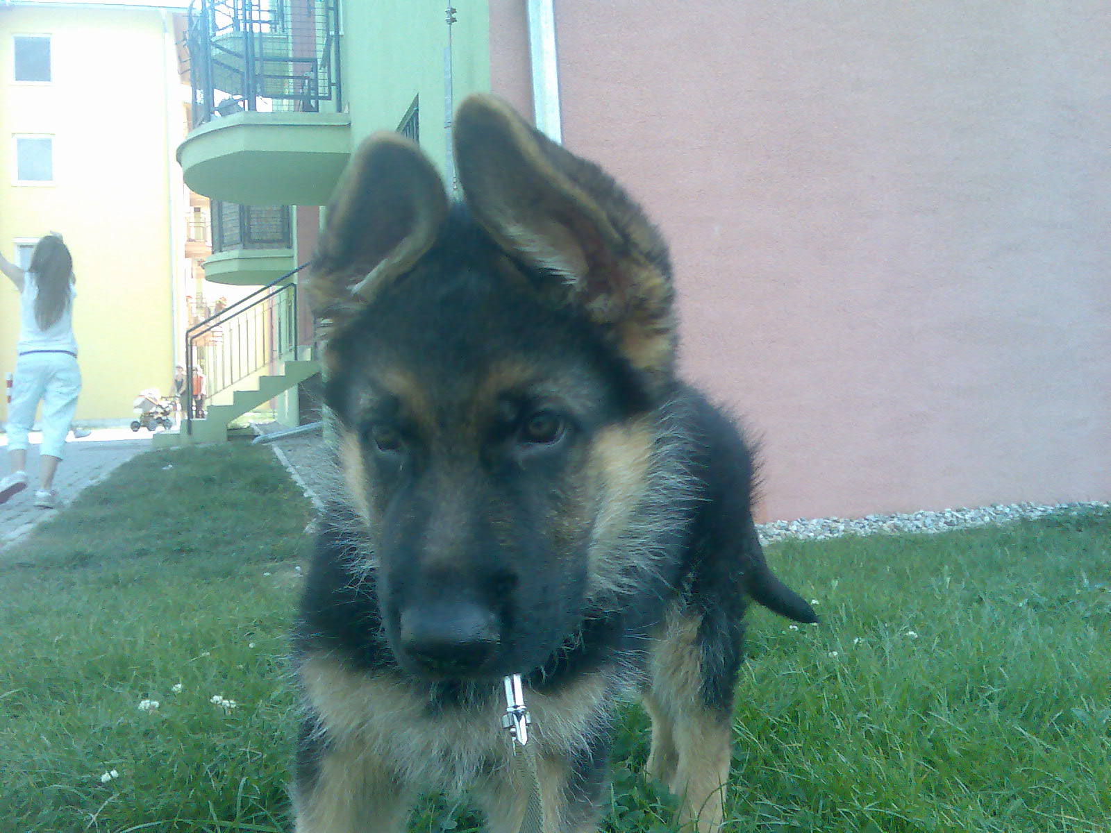 Snímek 077.jpg