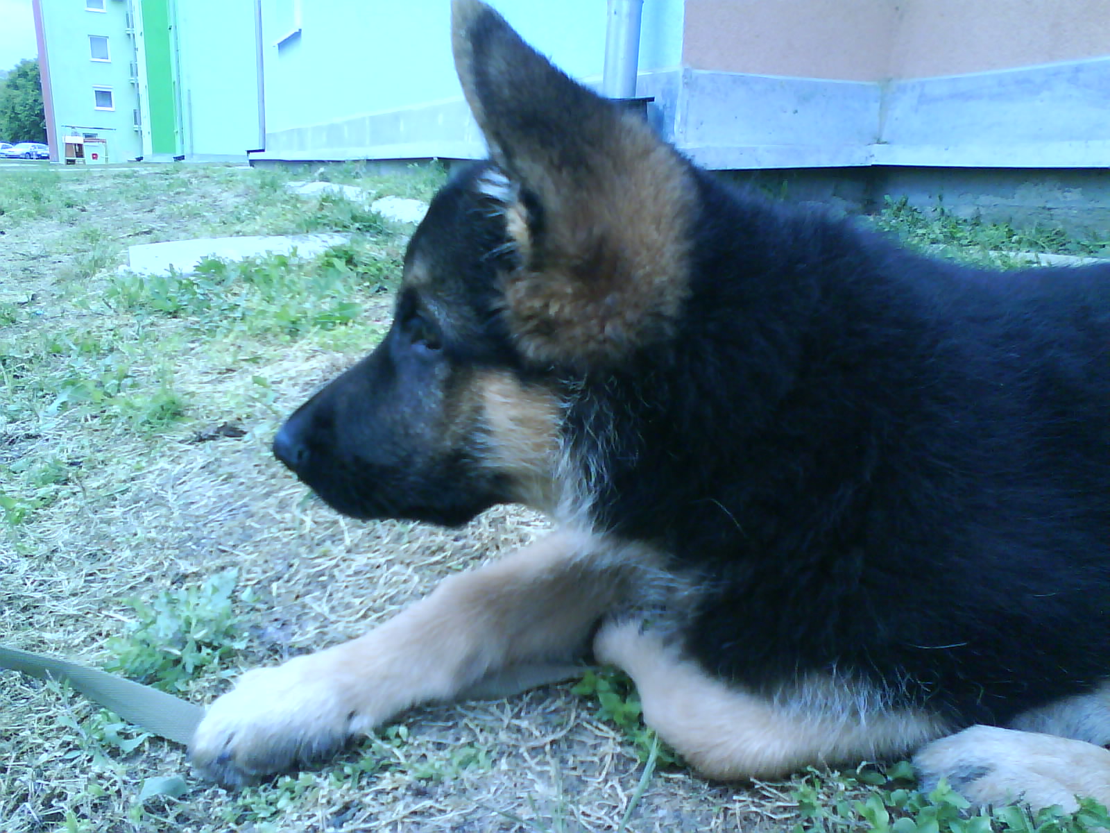 Snímek 080.jpg