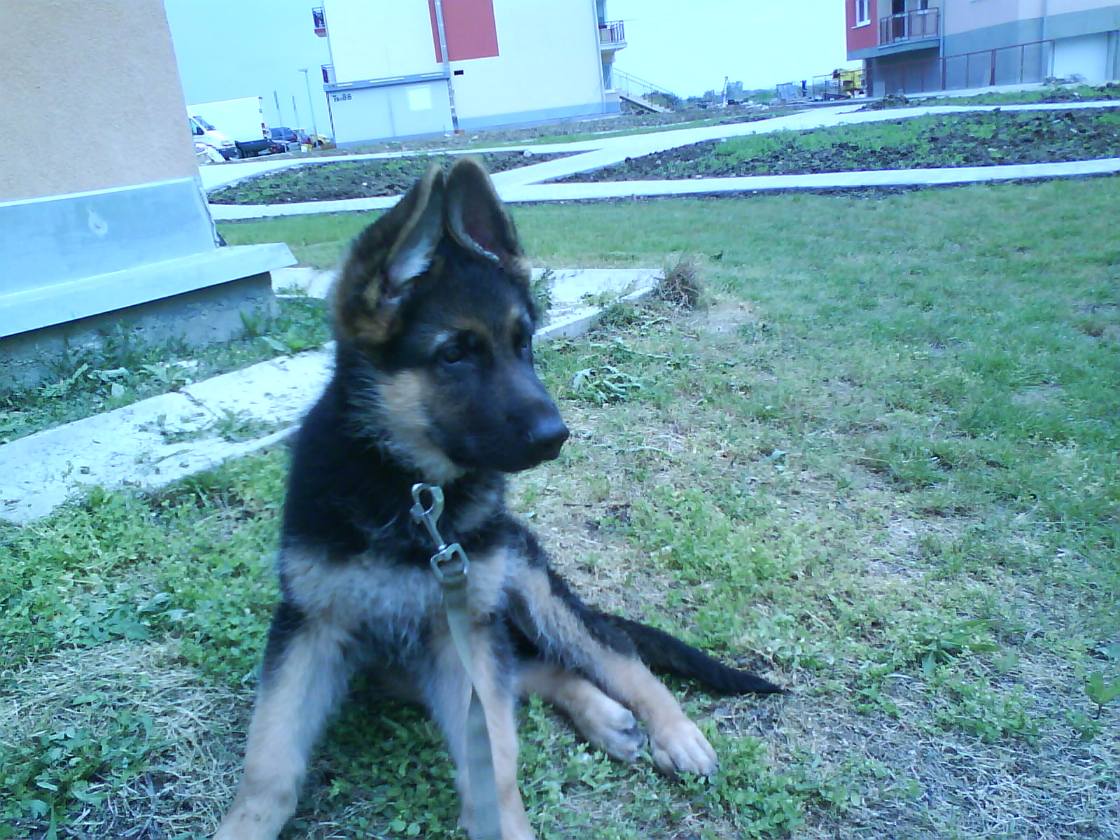 Snímek 081.jpg