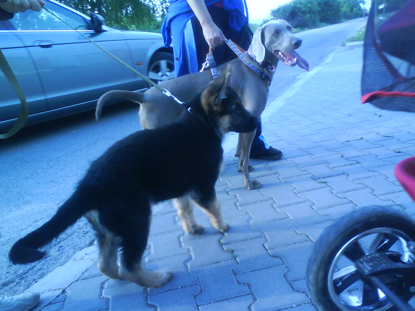 Snímek 083.jpg