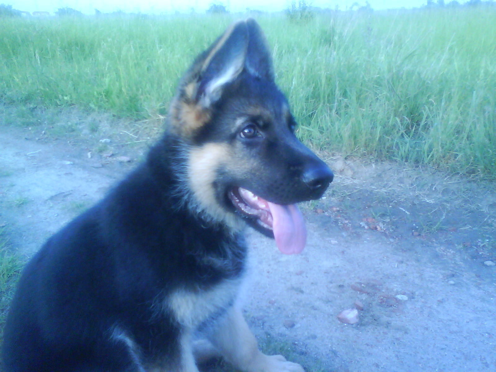 Snímek 085.jpg