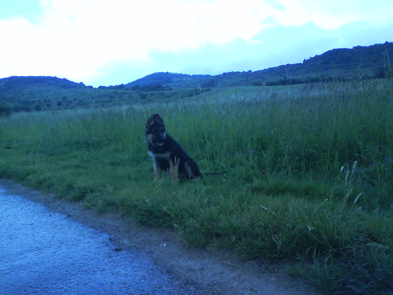 Snímek 087.jpg