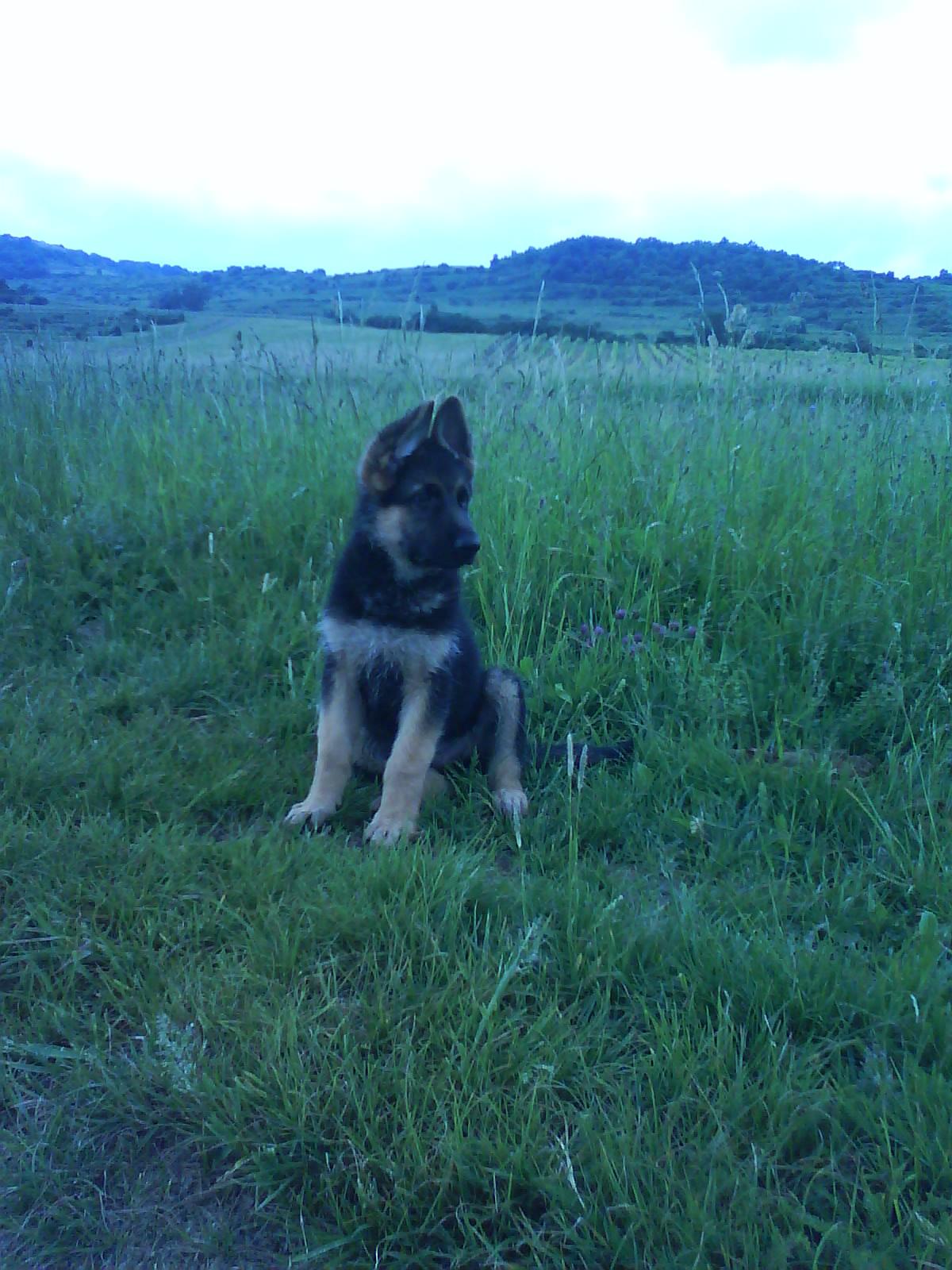 Snímek 088.jpg