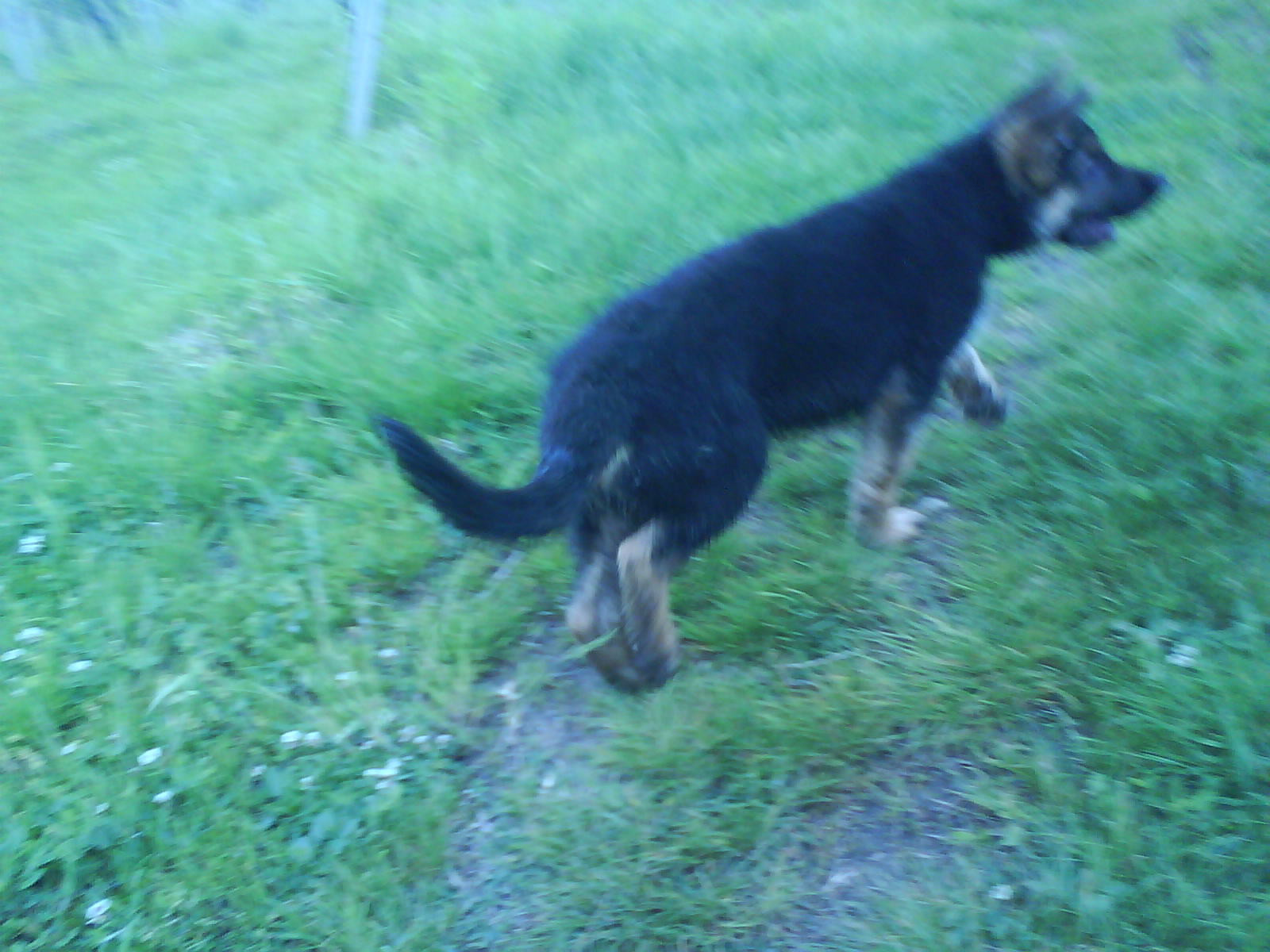 Snímek 089.jpg