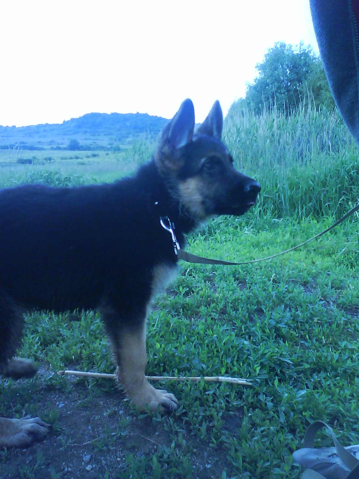 Snímek 093.jpg