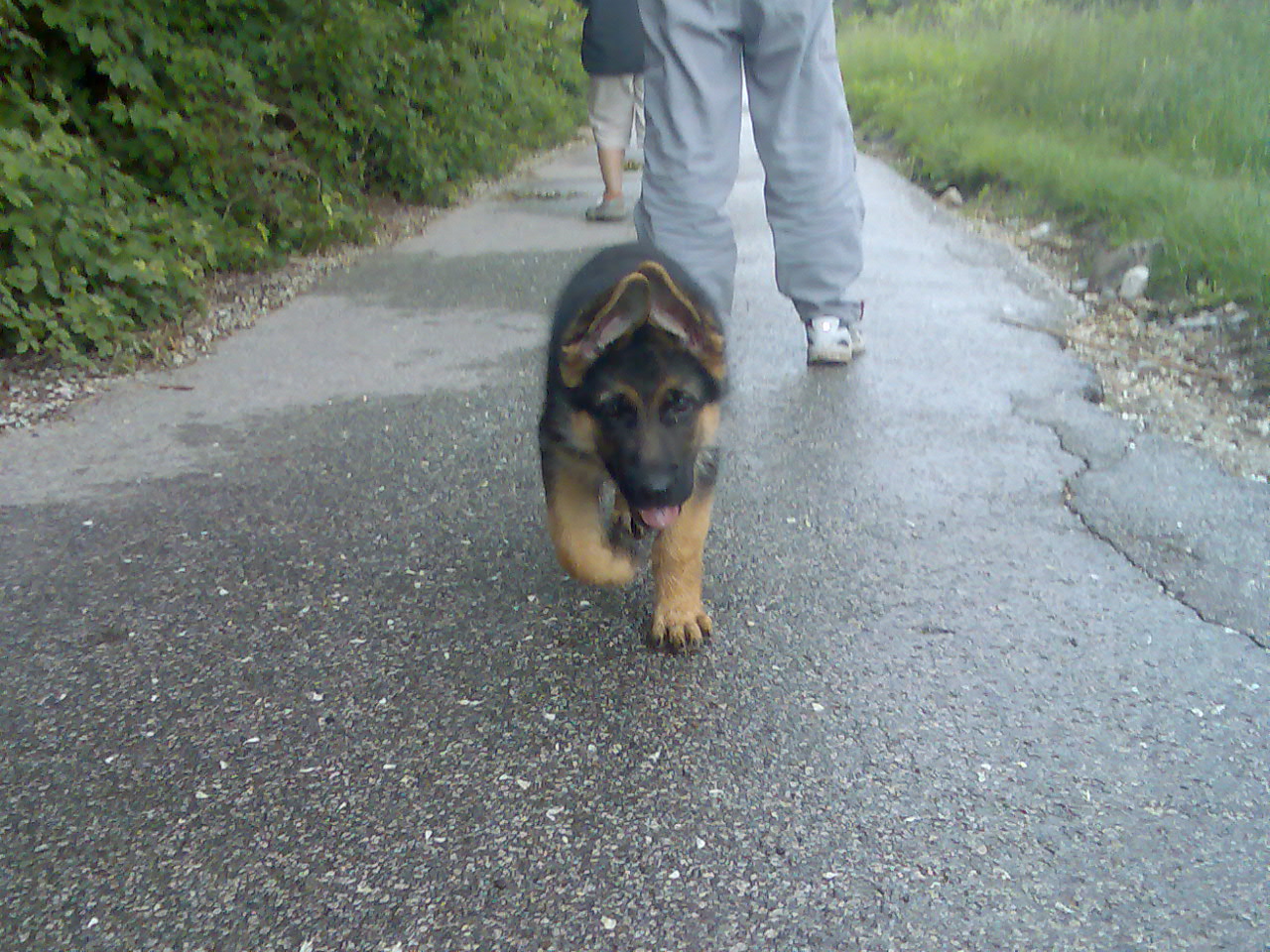 Snímek 094.jpg