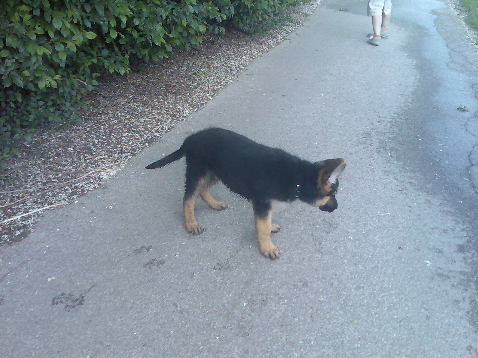 Snímek 095.jpg