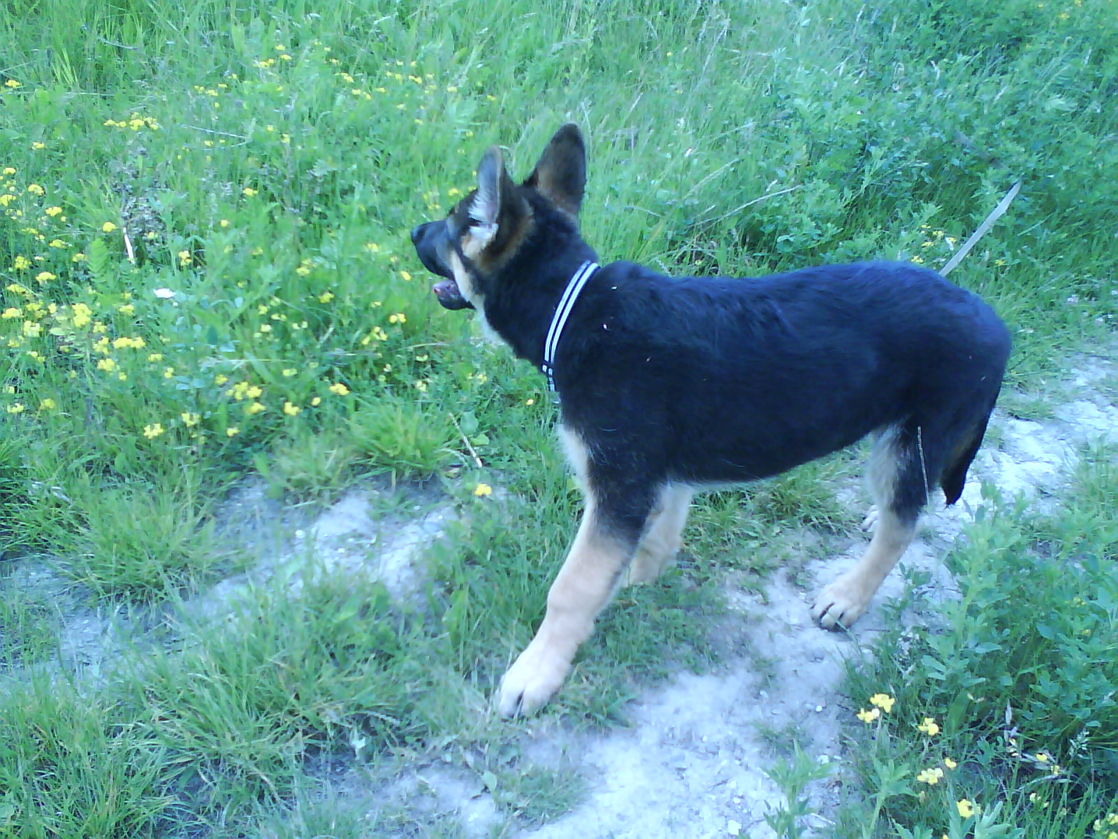 Snímek 116.jpg
